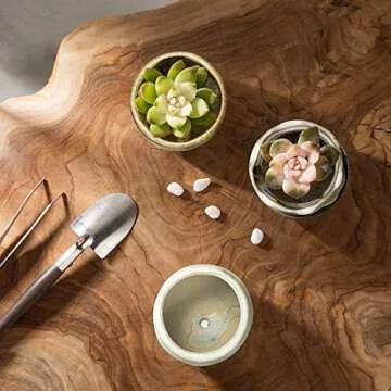 FairyLavie 2.5 Inch Ceramic Succulent Plant Pot, Rustic Style Cute Little Pots for Plants, Planter with Bamboo Tray, Perfect for Home Office Decor and Ideal Gift for Family Friends Colleague, Set of 6