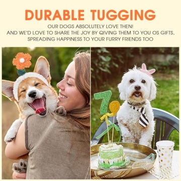 iFur Squeaky Carrot Dog Puzzle Toys for Happy Pets