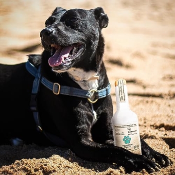 Bark Bros Liquor Bottle Dog Toy Plush Squeaky Puppy Gift