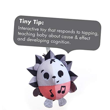 Tiny Love Gymini Play Mat for Infant Developmental Fun