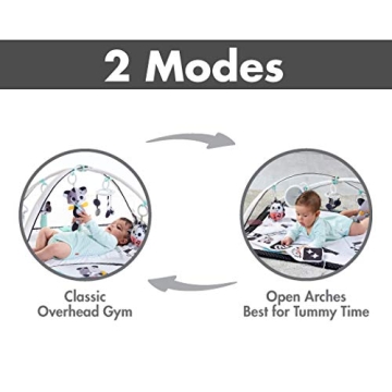 Tiny Love Gymini Play Mat for Infant Developmental Fun