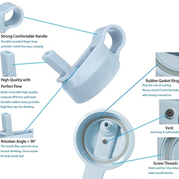 Top Souls Wide Mouth Straw Lids Compatible with Most Sports Water Bottles, 2 Lids 2 Long Straws 2 Brushes in 1 Value Pack. (Frost x2)