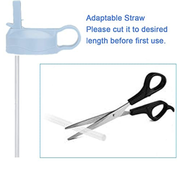 Top Souls Wide Mouth Straw Lids Compatible with Most Sports Water Bottles, 2 Lids 2 Long Straws 2 Brushes in 1 Value Pack. (Frost x2)