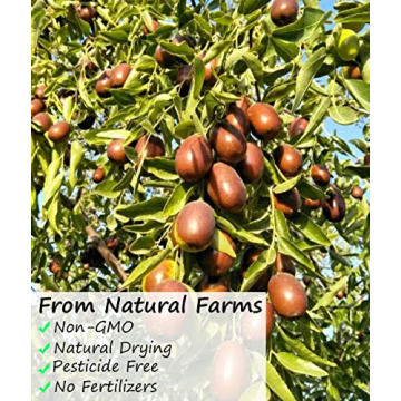 Premium Jujube Red Dates Natural Healthy Snack 1LB