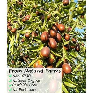 Premium Jujube Red Dates Natural Healthy Snack 1LB