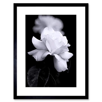 Photo Nature Black White Rose Petal Flower Framed Print for Home Decor