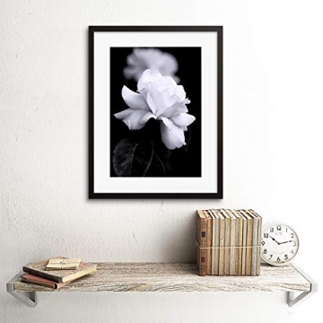 Elegant Black White Rose Petal Framed Art Print