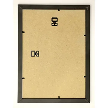 Elegant Black White Rose Petal Framed Art Print