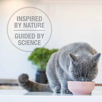 Feline Natural Freeze Dried Cat Food for Healthy Cats