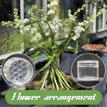 Spiorut Spiral Ikebana Holder for Elegant Floral Arrangements