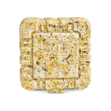 Kaytee Wild Bird Mini Cherry Harvest Suet Cake, 11.75-Ounce - Mess-Free Bird Feeding!