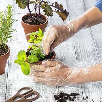 Comfy Package [100 Count Disposable Poly Plastic Gloves for Cooking, Food Prep and Food Service | Latex & Powder Free - One Size Fits Most