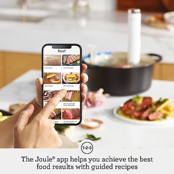 Breville Joule Turbo Sous Vide Machine for Perfect Cooking
