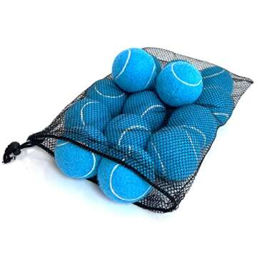 HPWFHPLF Tennis Balls, 12 Packs Practice Tennis Balls for Beginner, Training Playing Tennis Balls for Dogs, Come with Mesh Carry Bag (Blue)