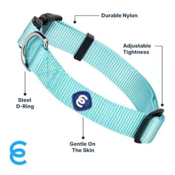 Blueberry Pet Essentials Mint Blue Dog Collar for Medium Dogs