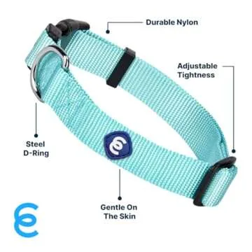 Blueberry Pet Essentials Mint Blue Dog Collar for Medium Dogs