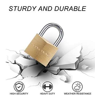 CINCINNO Solid Brass Padlock with Key, Key Lock with 1-9/16" Wide Body, 2 Pack Keyed Alike Locker Lock with Key