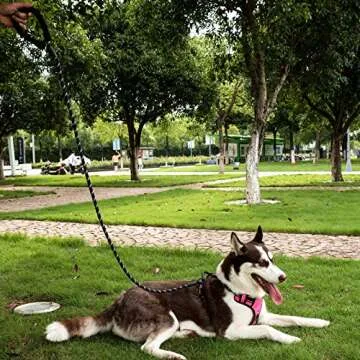 Poohoo Heavy Duty Pet Leash 2 Pack with Comfort Grip