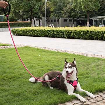 Poohoo Heavy Duty Pet Leash 2 Pack with Comfort Grip