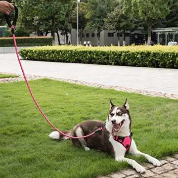 Poohoo Heavy Duty Pet Leash 2 Pack with Comfort Grip