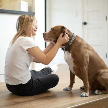 Soft Claws Nail Caps for Dogs - Clear XX-Large Protection