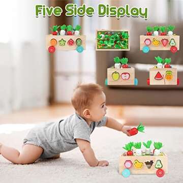 Bravmate Toddlers Montessori Educational Toys for Kids Age 2 3 4 Years Old, Shape Sorting Toys for Boys Girls 2-4, Wood Preschool Learning Fine Motor Skills Game