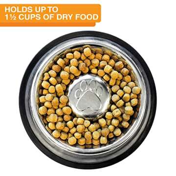 Neater Pet Brands Stainless Steel Slow Feed Bowl - Non-Tip & Non-Skid for Healthy Eating