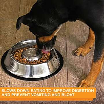Neater Pet Brands Slow Feed Bowl - Non-Slip Stainless Steel Design