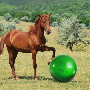 Rural365 Giant Horse Ball - Confidence Booster for Horses