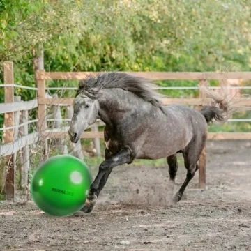 Rural365 Giant Horse Ball - Confidence Booster for Horses