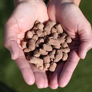 Steve's Real Food Quest Super Premium Freeze Dried Raw Cat Food, Chicken Recipe, 10oz, Prey Model Diet, Free Range, Antibiotic Free, Sustainably Sourced and Made in The USA