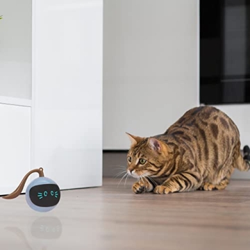 SIMENA Interactive Cat Toy, Ball Toy, Automatic Cat Toy, Self-Rolling Cat Toy, Self-Rotating Pet Exercise Ball, USB Rechargeable Cat Toy, Kitten Toy