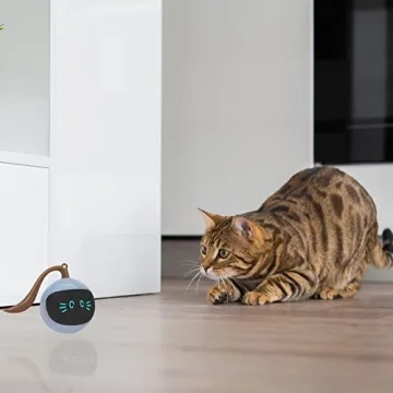 SIMENA Interactive Cat Toy, Ball Toy, Automatic Cat Toy, Self-Rolling Cat Toy, Self-Rotating Pet Exercise Ball, USB Rechargeable Cat Toy, Kitten Toy