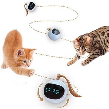 SIMENA Interactive Cat Toy, Ball Toy, Automatic Cat Toy, Self-Rolling Cat Toy, Self-Rotating Pet Exercise Ball, USB Rechargeable Cat Toy, Kitten Toy