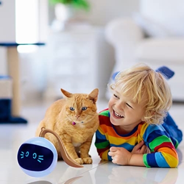 SIMENA Interactive Cat Toy, Ball Toy, Automatic Cat Toy, Self-Rolling Cat Toy, Self-Rotating Pet Exercise Ball, USB Rechargeable Cat Toy, Kitten Toy