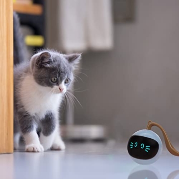 SIMENA Interactive Cat Toy, Ball Toy, Automatic Cat Toy, Self-Rolling Cat Toy, Self-Rotating Pet Exercise Ball, USB Rechargeable Cat Toy, Kitten Toy
