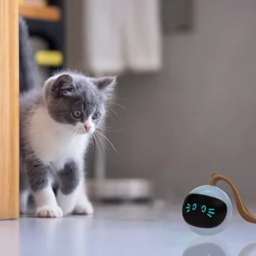 SIMENA Interactive Cat Toy, Ball Toy, Automatic Cat Toy, Self-Rolling Cat Toy, Self-Rotating Pet Exercise Ball, USB Rechargeable Cat Toy, Kitten Toy