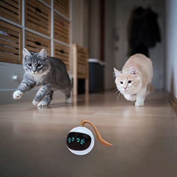 SIMENA Interactive Cat Toy, Ball Toy, Automatic Cat Toy, Self-Rolling Cat Toy, Self-Rotating Pet Exercise Ball, USB Rechargeable Cat Toy, Kitten Toy