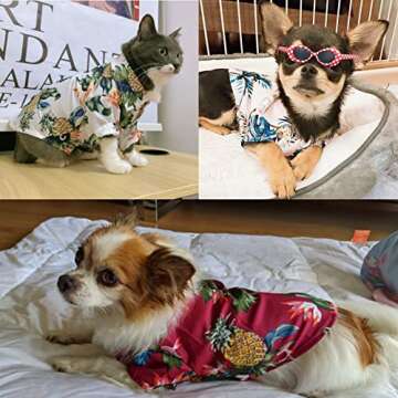 Dafuen Dog Hawaiian Shirt 4-Pack for Summer Fun