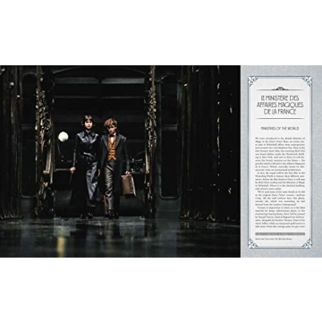 Lights, Camera, Magic! Behind Fantastic Beasts Creation