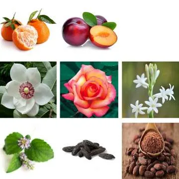 RACHEL ZOE Warrior Gift Set - 3 pc Designer Perfume