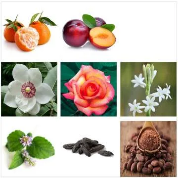 RACHEL ZOE Warrior Gift Set - 3 pc Designer Perfume