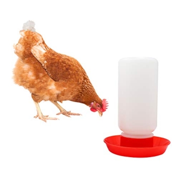 MINYULUA Chick Feeder Waterer Combo for Easy Poultry Care