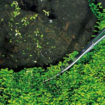 UEETEK 25 Fish Tank Plant Curved Tip Aquatic Plant Tongs Aquatic Plant