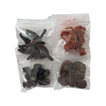 Ashe de Santo | Ache de Santo IFA Santeria Kola Eru Obi Osun