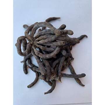 Ashe de Santo IFA Santeria Blends Kola Ero Obi Osun Gift