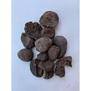 Ashe de Santo IFA Santeria Blends Kola Ero Obi Osun Gift