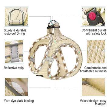 haapaw Dog Harness with Leash Set - No Pull Adjustable Reflective Step-in Puppy Harness for Small Do...