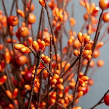 JINGHONG Fall Berry Picks – Perfect Autumn Decorations