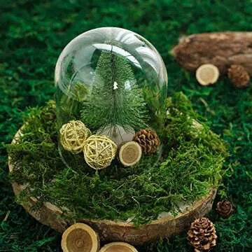 Realistic Farmoo Artificial Moss for Home Decor and Crafts